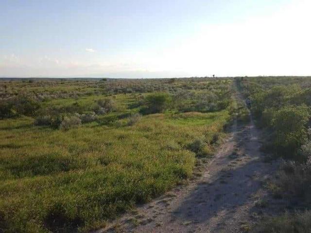 Rancho en venta en Vallecillo, Nuevo León