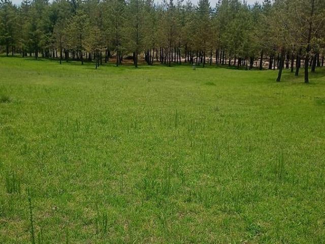 Rancho en venta en Villa Victoria, Estado de México