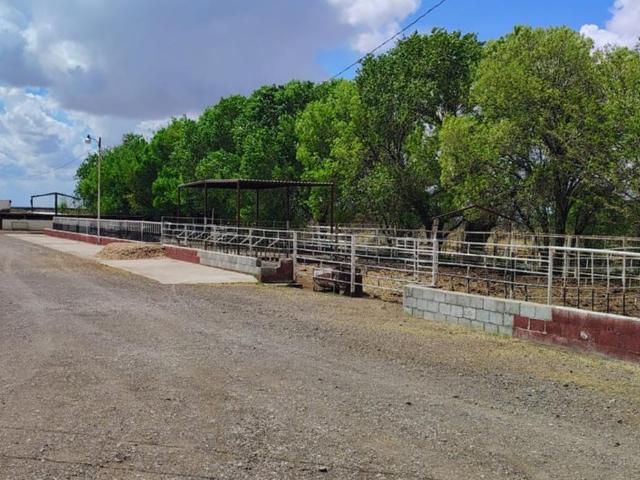 Departamento en venta en Ahumada, Chihuahua