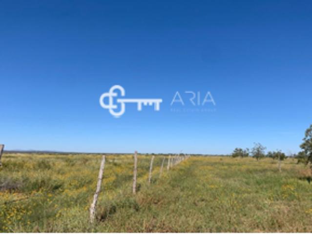 Rancho en venta en Jiménez, Chihuahua
