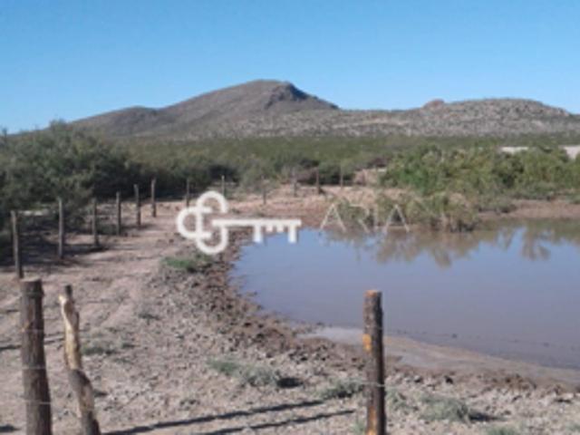 Rancho en venta en Juárez, Chihuahua