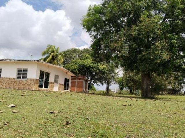 Rancho en venta en Tlalixcoyan, Veracruz