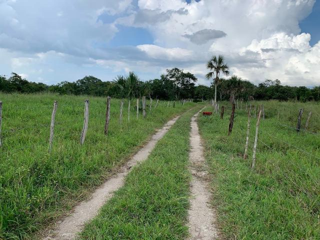 Rancho en venta en Panabá, Yucatán