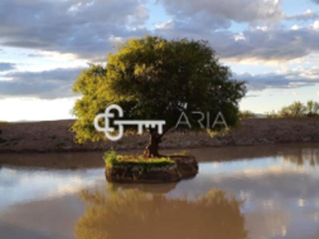 Rancho en venta en Jiménez, Chihuahua