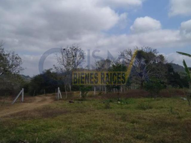 RANCHO GANADERO CON CASA DE RANCHERO, GALERA Y ARROYO A SOLO 4.5 KM DE TEMAPACHE