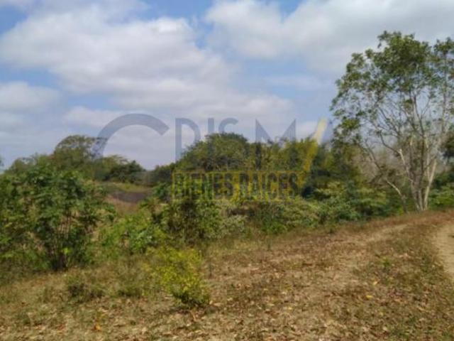 RANCHO GANADERO CON CASA DE RANCHERO, GALERA Y ARROYO A SOLO 4.5 KM DE TEMAPACHE