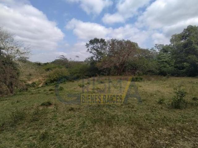 RANCHO GANADERO CON CASA DE RANCHERO, GALERA Y ARROYO A SOLO 4.5 KM DE TEMAPACHE