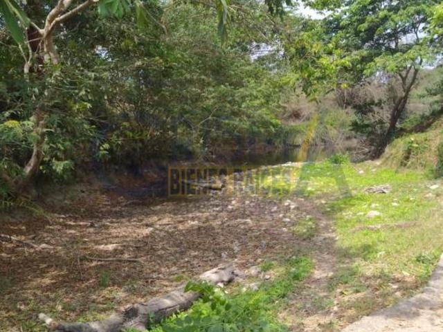 Rancho en venta en Temapache, Veracruz
