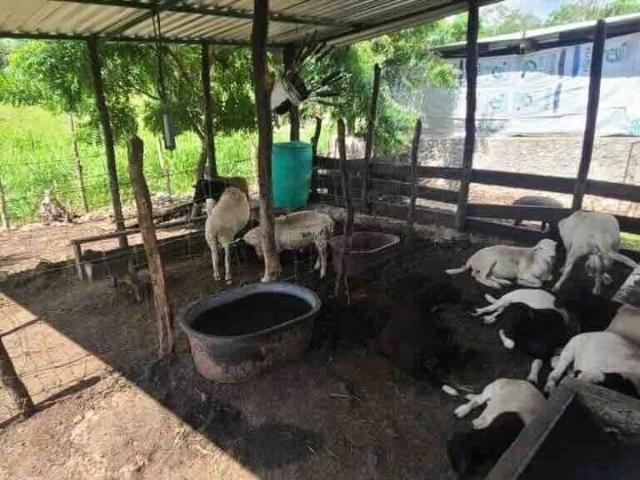 Rancho en venta en Panabá, Yucatán