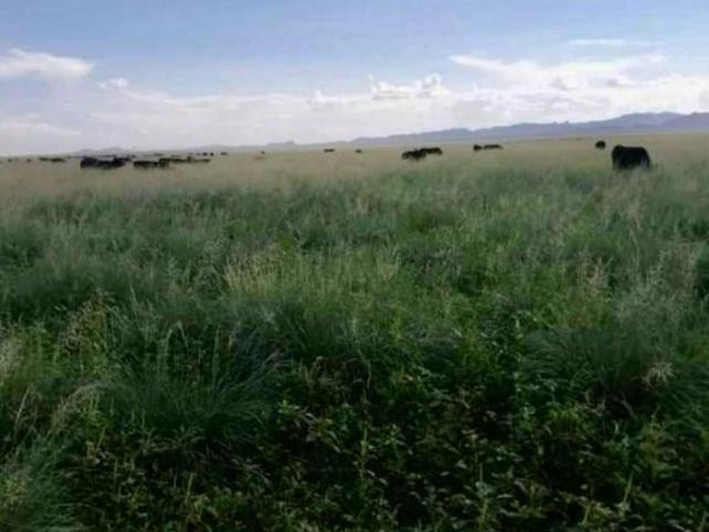 Terreno en venta en Ahumada, Chihuahua