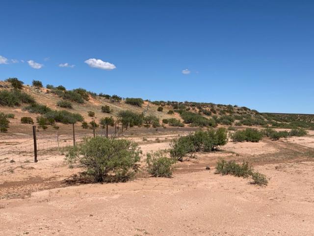 Departamento en venta en Nuevo Casas Grandes, Chihuahua
