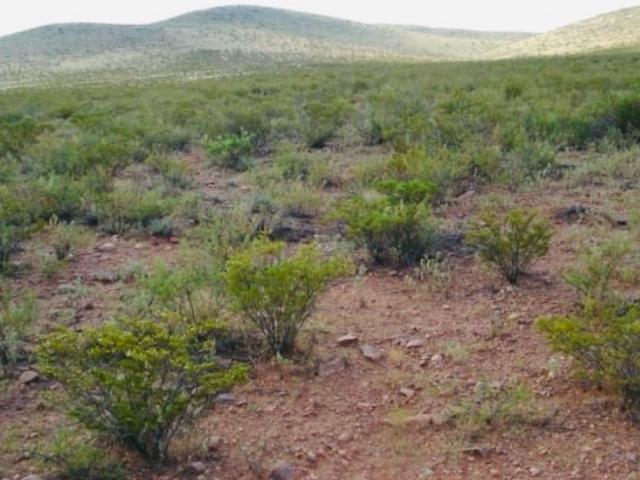 Departamento en venta en Camargo, Chihuahua