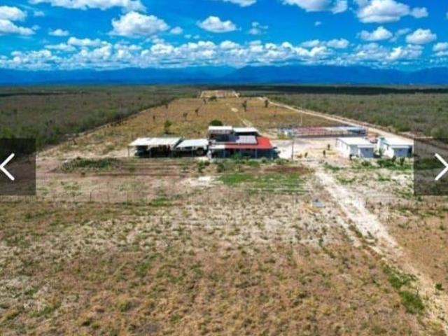 Rancho ganadero en Linares