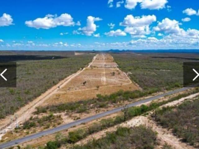 Rancho ganadero en Linares