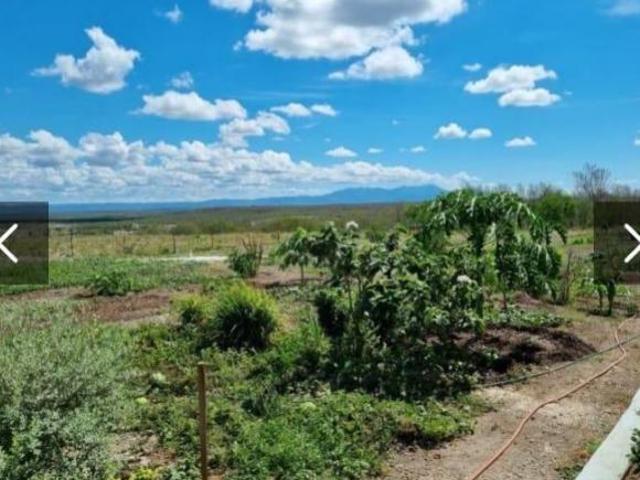 Rancho ganadero en Linares