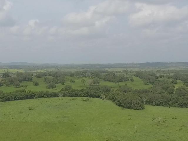 Quinta en venta en Tamalín, Veracruz