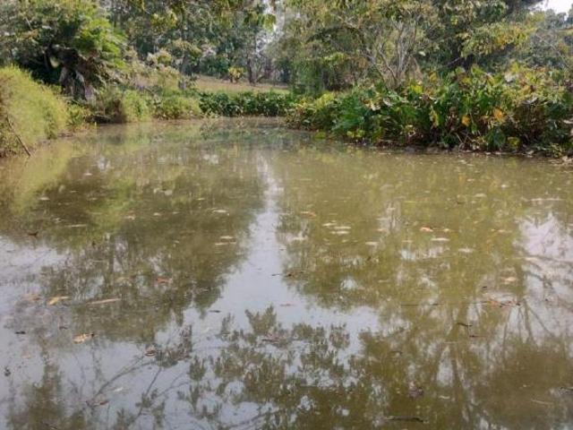 Rancho ganadero en venta, 250 hectáreas, Ría. Caparroso en Macuspana, Tabasco