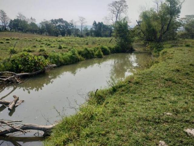 Rancho ganadero en venta, 250 hectáreas, Ría. Caparroso en Macuspana, Tabasco