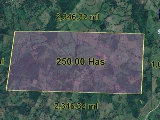 Rancho ganadero en venta, 250 hectáreas, Ría. Caparroso en Macuspana, Tabasco