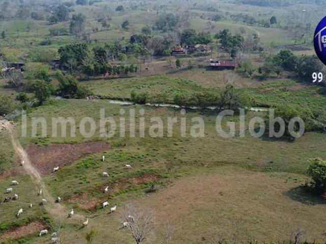 Rancho ganadero en venta, 250 hectáreas, Ría. Caparroso en Macuspana, Tabasco