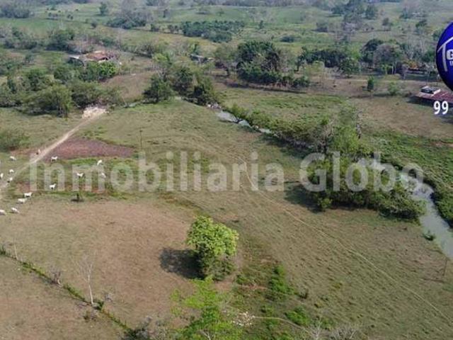 Rancho ganadero en venta, 250 hectáreas, Ría. Caparroso en Macuspana, Tabasco
