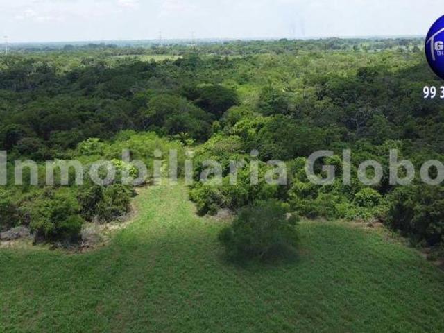 Rancho ganadero en venta, 50 hectáreas, muy cerca de Villahermosa, a orilla de carretera asfaltada