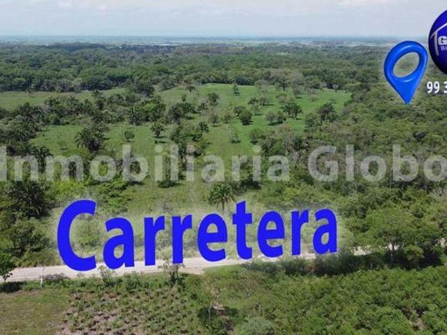 Rancho ganadero en venta, 50 hectáreas, muy cerca de Villahermosa, a orilla de carretera asfaltada