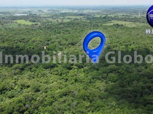 Rancho ganadero en venta, 50 hectáreas, muy cerca de Villahermosa, a orilla de carretera asfaltada