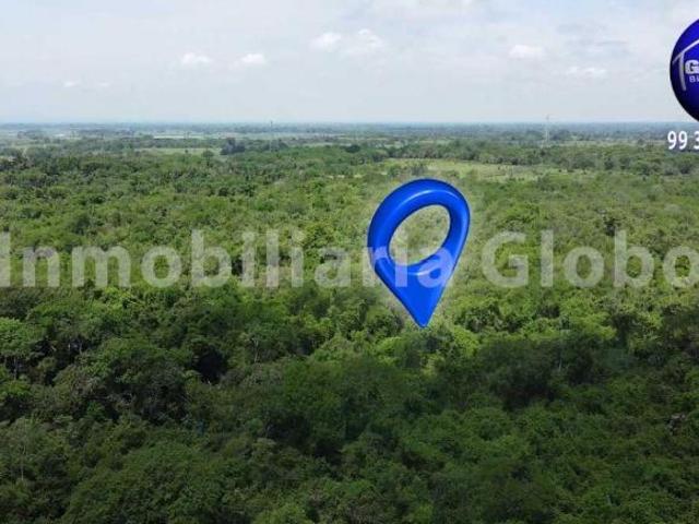 Rancho ganadero en venta, 50 hectáreas, muy cerca de Villahermosa, a orilla de carretera asfaltada