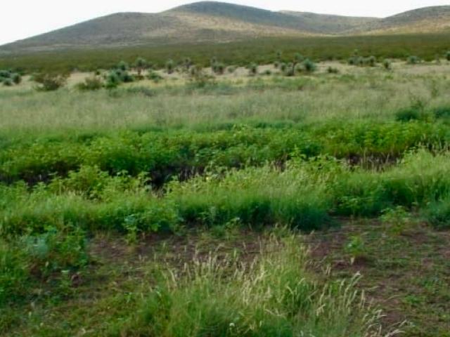 Departamento en venta en Jiménez, Chihuahua