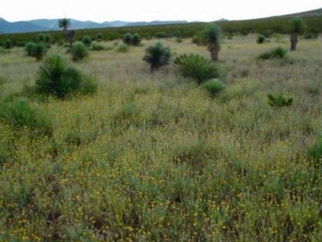 Rancho en venta en Jiménez, Chihuahua