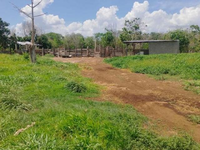 Rancho en venta en Sucilá, Yucatán
