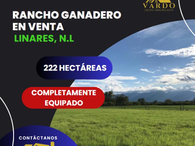 Rancho en venta en Linares, Nuevo León