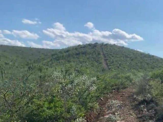 Rancho en venta en Vallecillo, Nuevo León