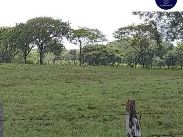 Rancho en venta en Tierra Blanca, Veracruz