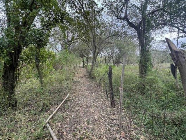 RANCHO GANADERO y AGRÍCOLA EN CAMPECHE