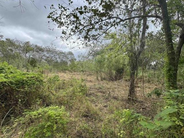 RANCHO GANADERO y AGRÍCOLA EN CAMPECHE