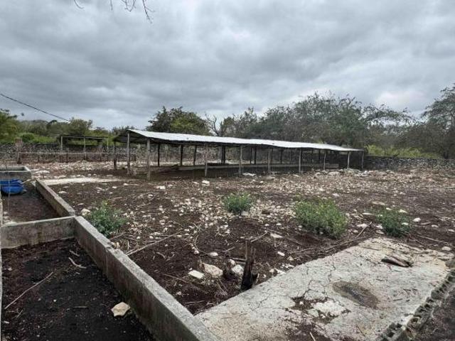 RANCHO GANADERO y AGRÍCOLA EN CAMPECHE