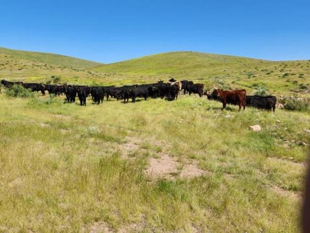 Rancho en venta en Guerrero, Chihuahua