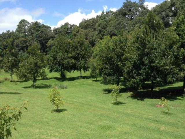 Rancho en venta en Valle De Bravo, Estado de México