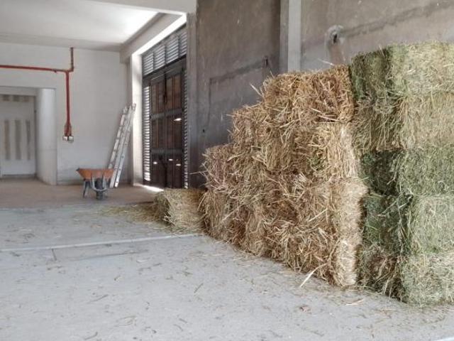 rancho habitacional