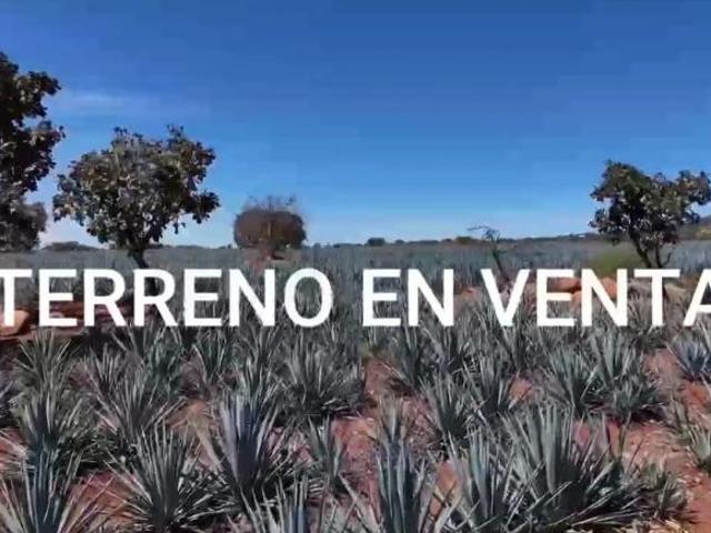Rancho en venta en Tepatitlán De Morelos, Jalisco
