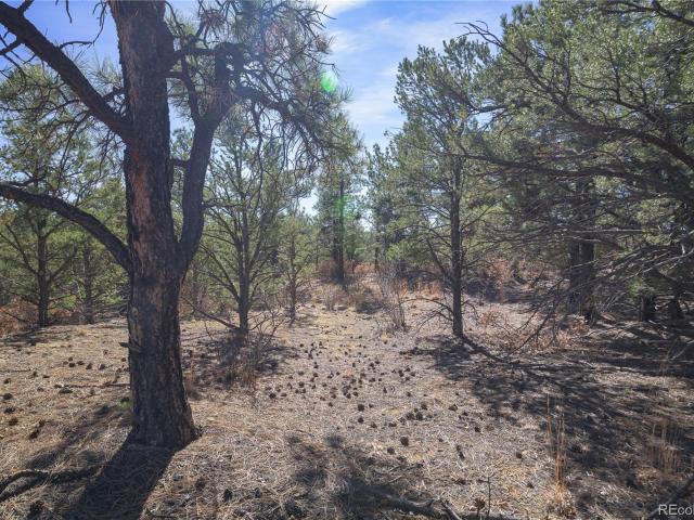 Land for sale in Weston, Colorado