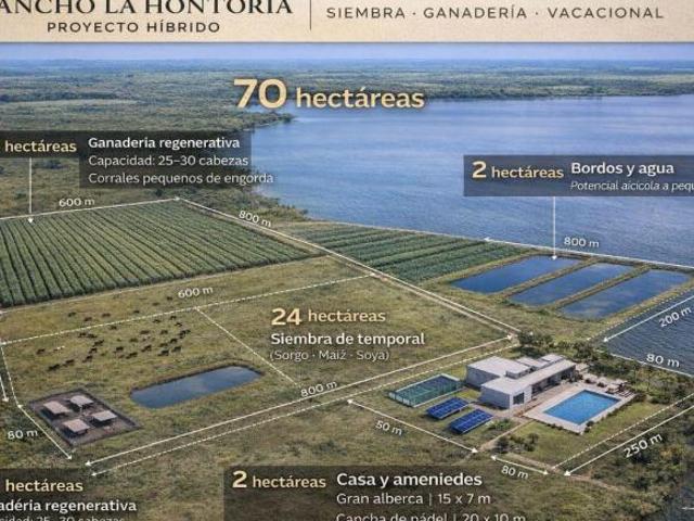 Rancho en venta en Pánuco, Veracruz