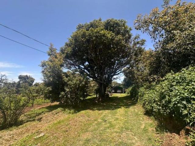 Rancho en venta en Coatepec Harinas, Estado de México