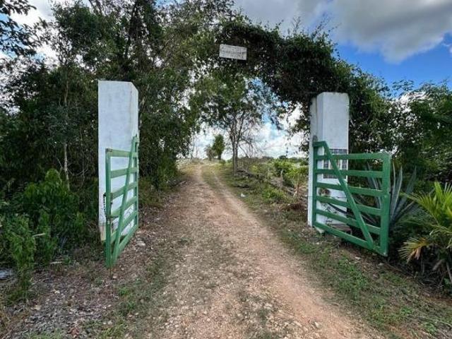 Rancho en venta en Izamal, Yucatán