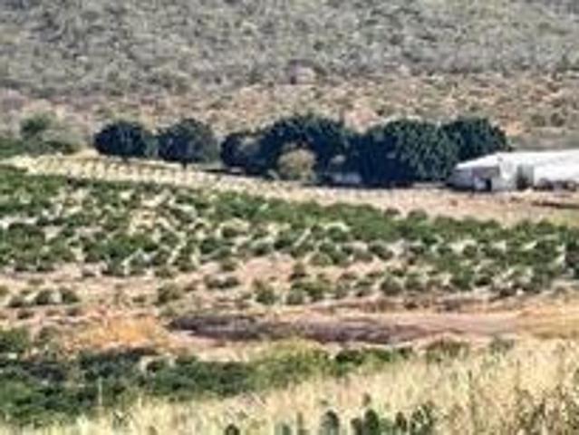 Rancho en venta en Jalpa, Zacatecas