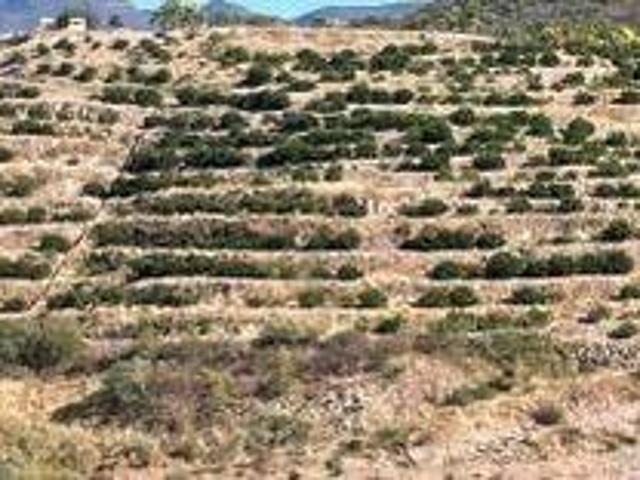 Terreno en venta en Jalpa