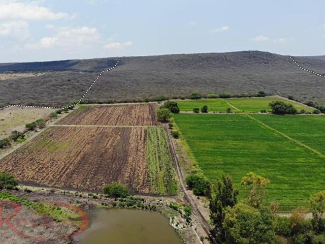 Rancho en venta en Celaya, Guanajuato