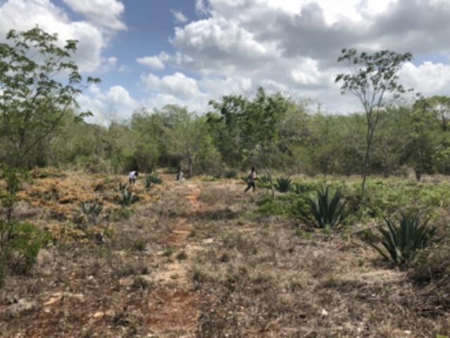 Rancho en venta en Kantunil, Yucatán